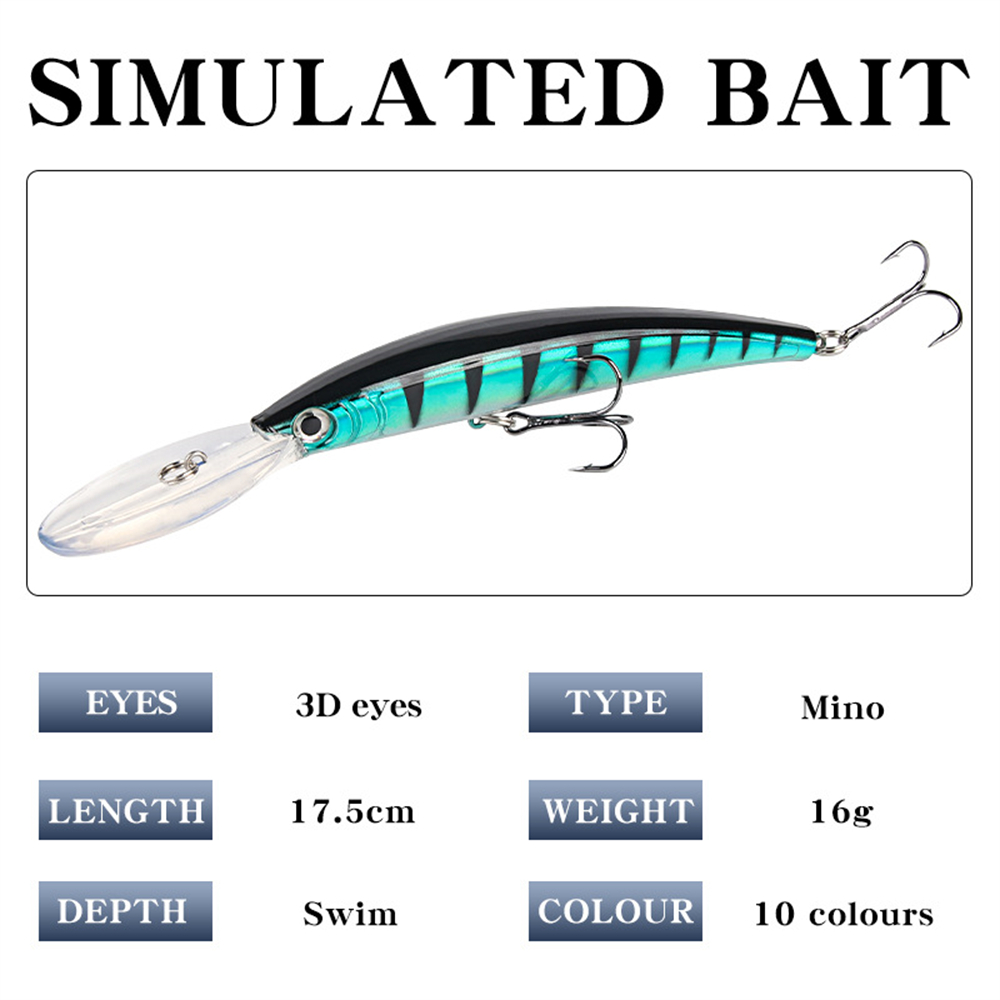 Long Tongue Minnow Fishing Lur - مراجعة Fishing Lure Jerkbait وسعره